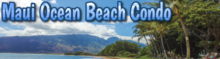 Maui Condo Rental